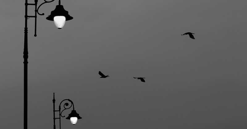 Minimalist Photography - By Prakash Ghai: Three Lamps Three Birds