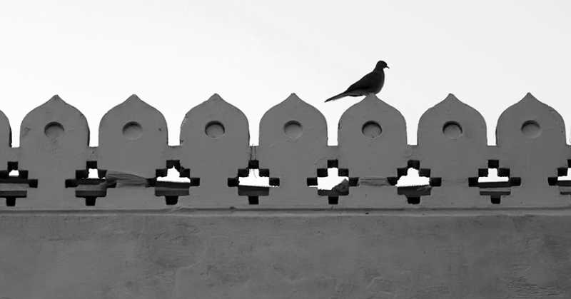 Minimalist Photography - By Prakash Ghai: Birds And Patterned Side Rail - 2 Minimalist Photographs