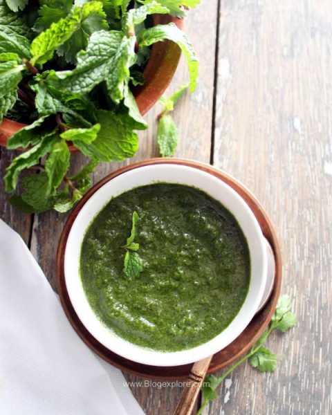 Mint Coriander Chutney Recipe - Indian Recipes - Blogexplore