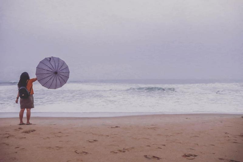 Mirzaya: A Walk Along The Beach - Life And Its Experiments