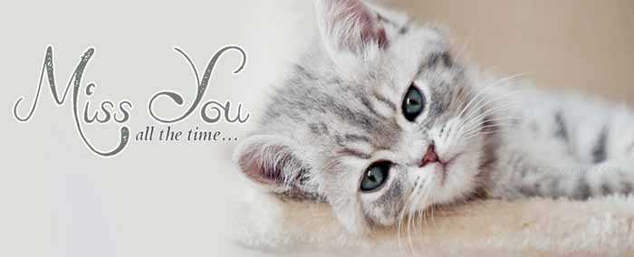 Miss You Shayari In Hindi - Hindismsfun