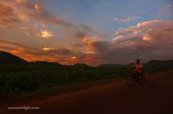 Missing the focus - dealing with autofocus problems - WOVEN IN LIGHT