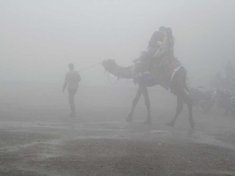 Misty Camel Ride At Lonavla