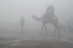 Misty camel ride at Lonavla