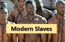 Modern Day Slave