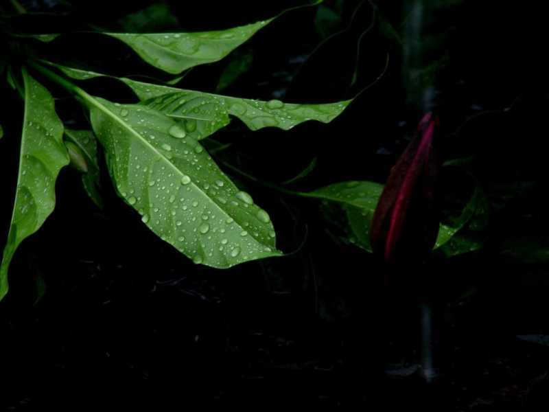 Moments With The Little Miss Are The Window To My Inner World.