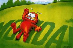 Monday Morning Blues!