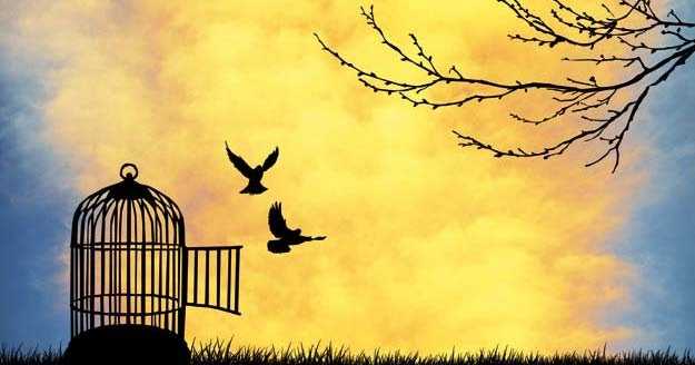 Money - My Selfless Servant !