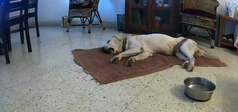 Monitoring Internet Connection At Home Using Healthchecks.io, Termux And CouchDB | Thejesh GN