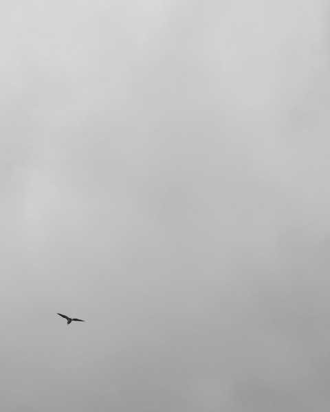 Monochrome Till Eyes Can See