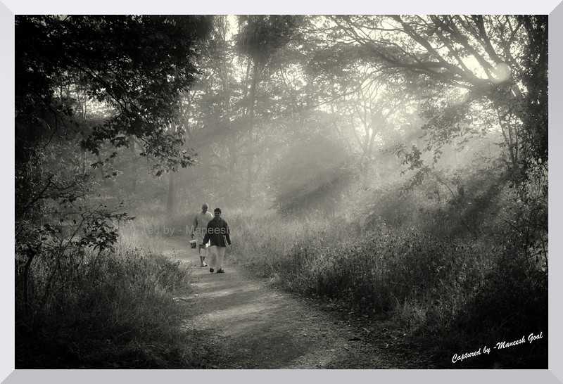 Monochromes - Mybioscope