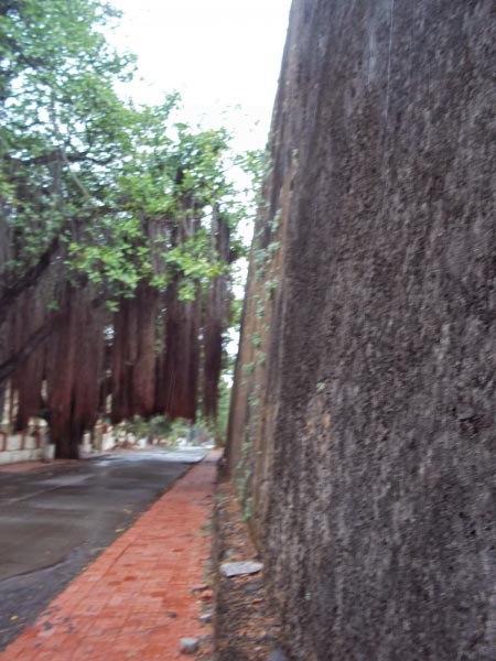 Monsoon Walk In Daman