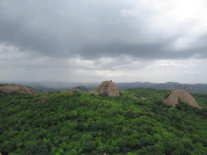 Monsoon Is Just Another Word For Melancholia