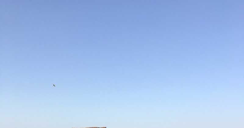 Month That Was, March 2018