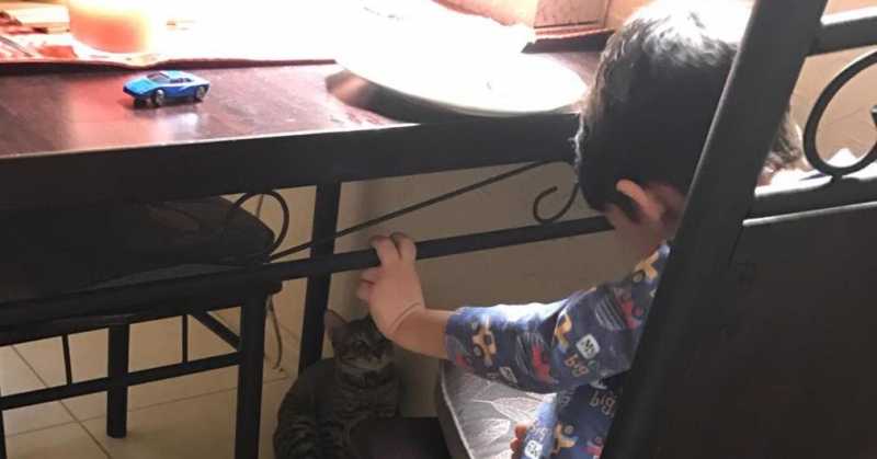 Month That Was, October 2018