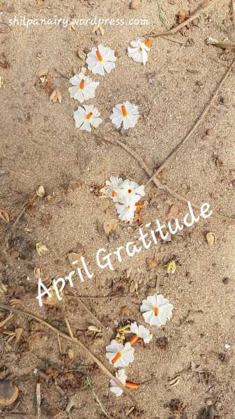 Monthly Gratitude - April 2019
