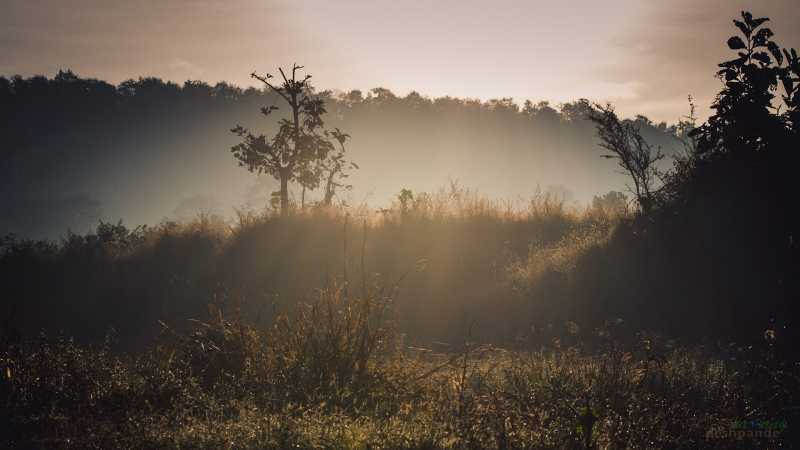 Moods Of The Morning