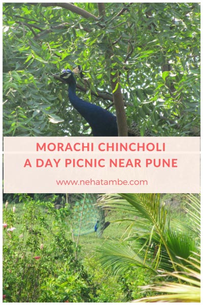 Morachi Chincholi- A Fun Day Picnic Near Pune - Digital Marketer | Content Writer | Mom Blogger