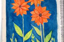 More from the 100 days project 