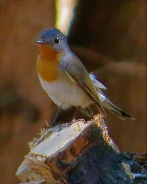 More Useless Bits Of Information