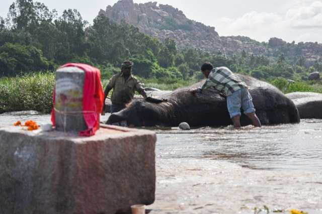 Morning Date With Lakshmi - Hampi Diaries