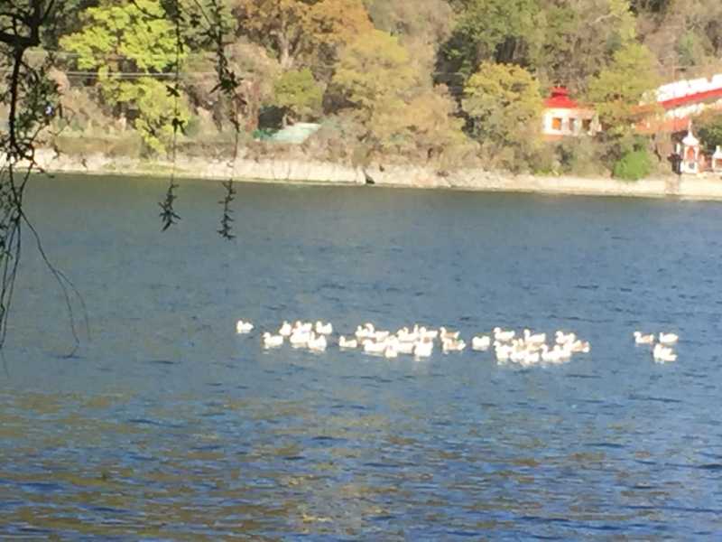 Morning Walk In Naini Lake