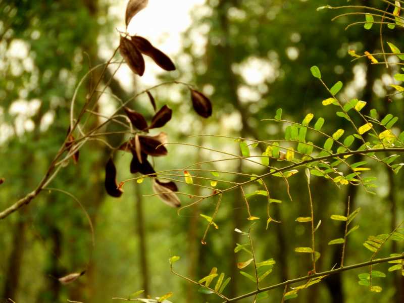 Mother Nature, She Always Is There To Inspire Me!