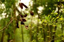 Mother Nature, She always is There to Inspire Me!