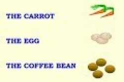 Motivational Learnings from the Coffee  Beans