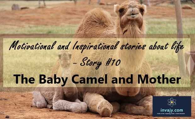 Motivational And Inspirational Stories About Life - The Baby Camel And His Mother (Inspiring Story #10) | InvajyC