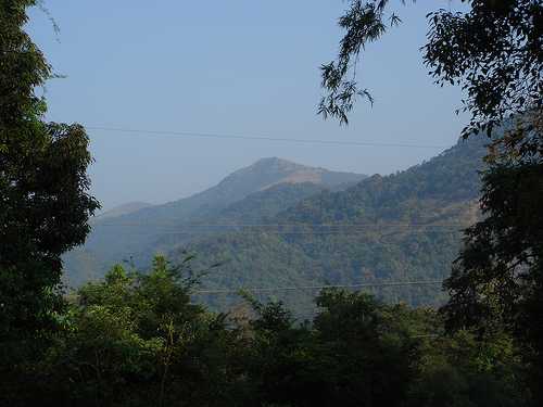 Mountains & Mangroves