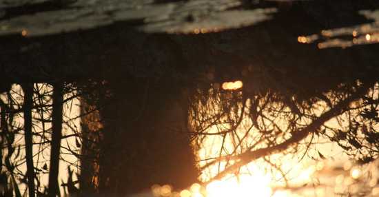 Moving On From DEEZDEN