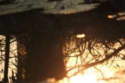 Moving on from DEEZDEN