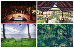 Moving to WordPress.org