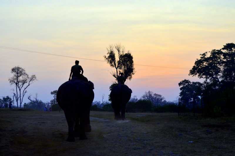 Mudumalai Elephant Camp, Tamil Nadu