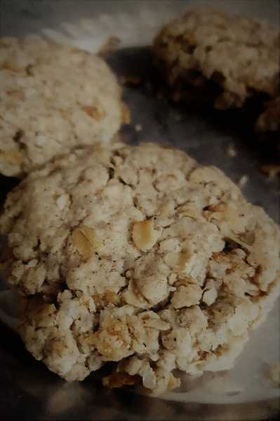 Muesli Oat Ginger Cookies Recipe