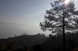 Mull Foon Chronicles