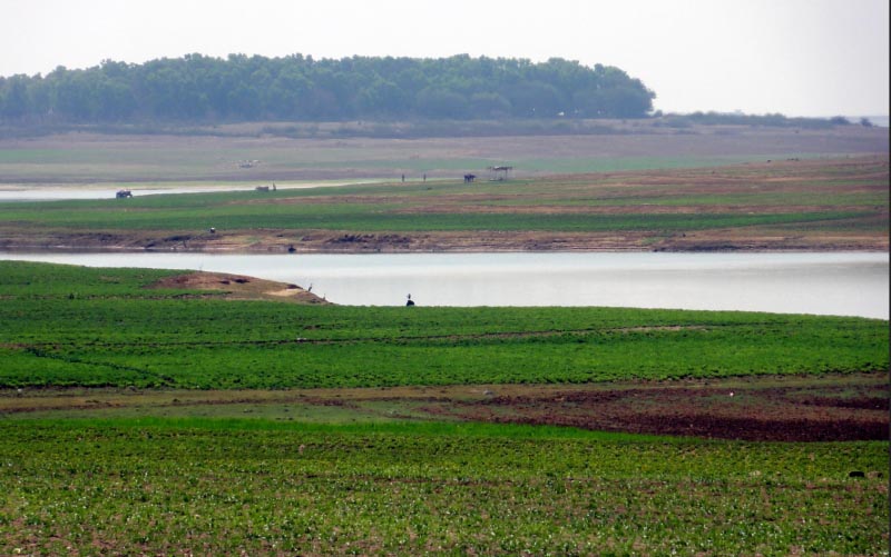 Multifaceted Mosale: A Perfect Weekend Getaway From Bengaluru