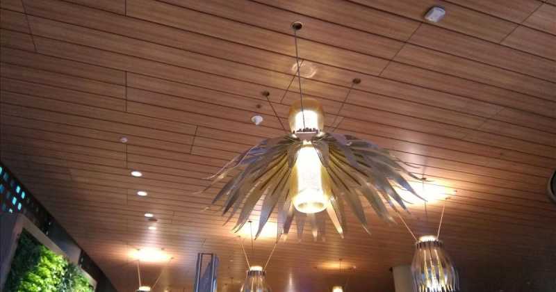 Mumbai Airport Interior Photos