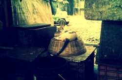 Mumbai.Bombay.Bambai