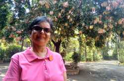 Mumbai Concrete Jungle & Japanese Miyawaki Jungle? Connection??