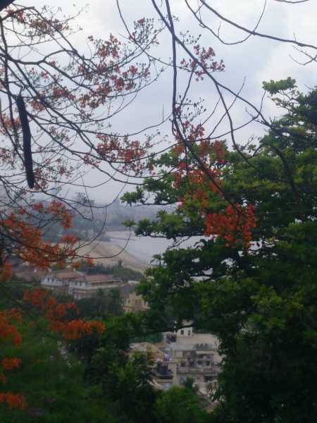 Mumbai Cycling Diaries