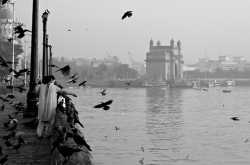 Mumbai Diary-II:Nice,Cool and Porche!