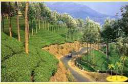 Munnar