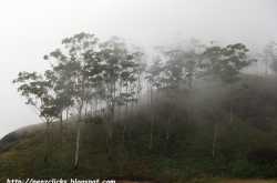 Munnar