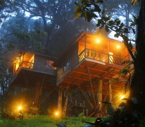 Munnar Treehouse Resorts Packages, Pricing Details [Book Treehouse]