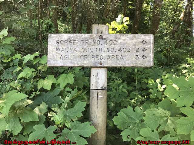 Munra Point Trail Oregon