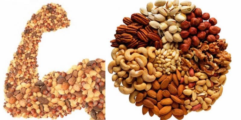 Muscle-Building Protein Shake With Nuts To Make You Stronger - Lifestyle Den