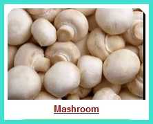 Mushroom Masala