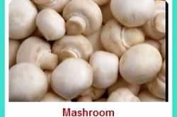 Mushroom Masala